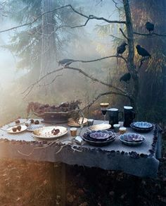 a table with plates and bowls on it in the woods, surrounded by birds flying overhead