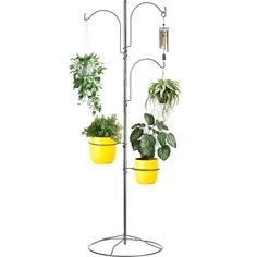 three potted plants are hanging on a metal stand with yellow buckets and one has a wind chime