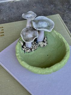 there is a green cake with mushrooms on it and a book in the back ground