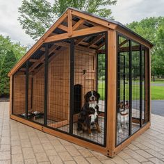 two dogs are sitting in their kennels outside