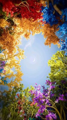 the sky is filled with colorful trees and flowers in it's center, as if from below