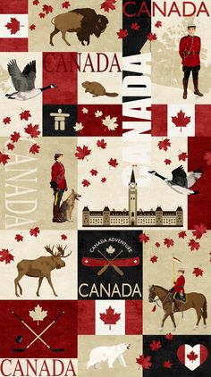 the canadian flag has many different things on it