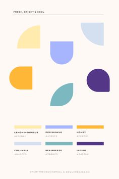 Fresh, Bright and Cool Colour Palette for your Brand or Squarespace Website Cool Colour Palette, Vivid Color Palette, Free Rein, Cool Color Palette, Palette Inspiration, Dull Colors