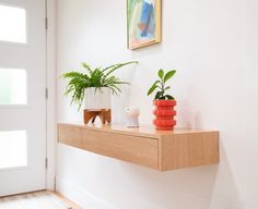 two plants are sitting on a wooden shelf