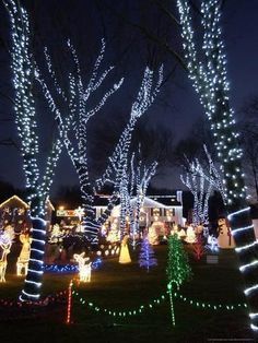 christmas lights on trees and bushes in front of a house