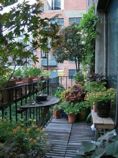 an image of a balcony with potted plants