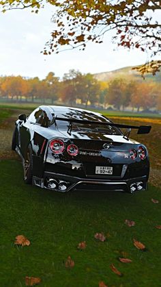 a black sports car parked on top of a lush green field next to a tree