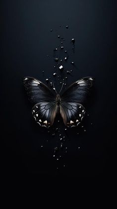 a black and white butterfly with drops of water on it's wings, in the dark