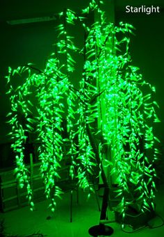 a green plant is lit up in the dark with its lights on and it's branches