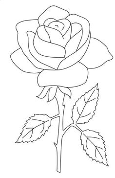 a drawing of a rose with leaves