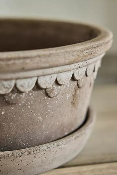 a close up of a potted plant on a wooden table with no one in it