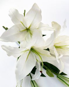 "Beautiful white \"real to touch\" Latex lily Ideal for cake decoration/baby shower/baby \"one\" party etc Listing is for 1 or more single stems. Widest bloom is 13cm Top to bottom 41cm" Lilies White, White Lilies Aesthetic, White Lilies Photography, White Stargazer Lily, White Tiger Lily, Lily Cake, Lily White, Lily Bloom, Cake Smash Photos