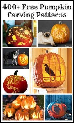 pumpkin carving patterns with cats and birds on them, including jack - o - lanterns