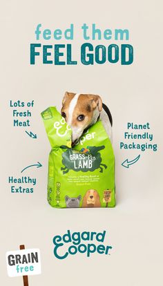 a dog in a bag with the words feed them feel good