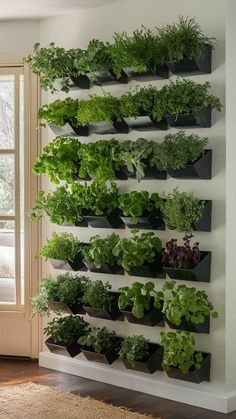 Herb Wall Kitchen, Interior Herb Garden, Indoor Herb Wall, Apartment Herb Gardens, Indoor Mini Garden, Indoor Herb Garden Diy, Balcony Herb Gardens, Social Project, Pot Wall