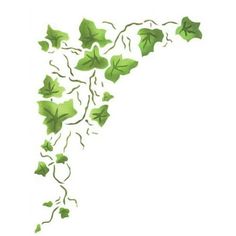 green ivy leaves blowing in the wind on a white background