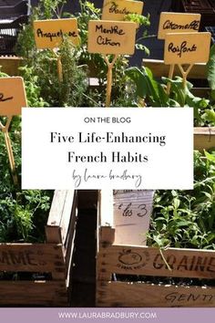 some wooden crates with plants in them and the words five life - enhance french habitats