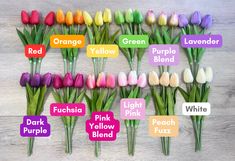 colorful tulips are arranged on a white wooden background with the words orange, yellow, pink, purple, and green