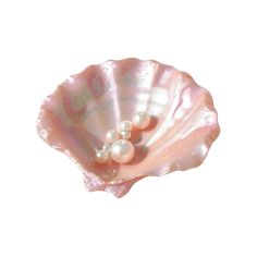 two pearls in a shell on a white background