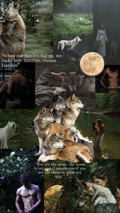 a collage of wolf pictures with the caption'what our families fall into '