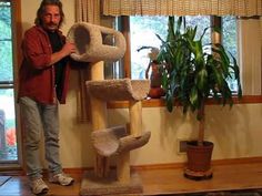 a man standing next to a tall cat tree