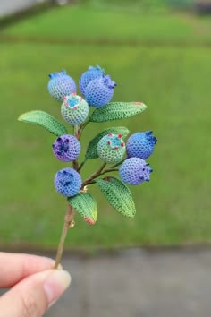 a hand holding a tiny blue flower with green leaves