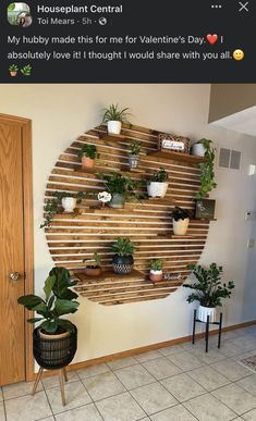 a wall mounted planter with plants on it