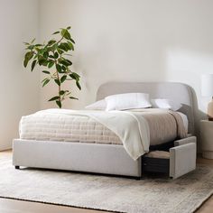 a bed sitting on top of a wooden floor next to a plant