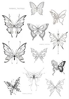 the different butterflies are drawn in black and white