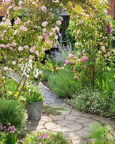 a garden with lots of flowers and plants around it