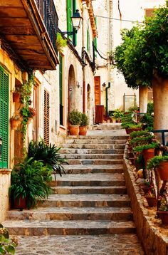 an alleyway with potted plants and stone steps leading up to the building's second floor