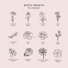 an image of flowers that are in the month of november and months of march on a white background