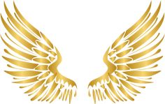 golden wings on a white background