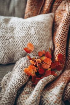 Discover cozy autumn textile patterns that bring the warmth of fall into your home. Perfect for decorating and fashion, this pin inspires seasonal chic with a beautiful variety of designs.