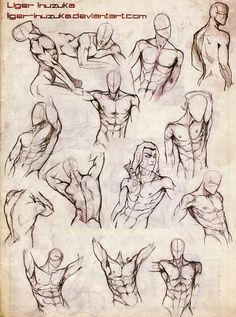 an old book with some drawings of different body shapes and muscles on it's cover