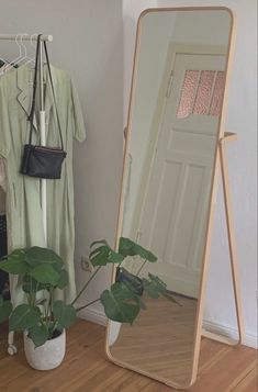 a mirror sitting on top of a wooden floor next to a potted green plant