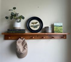 there is a potted plant and some books on the shelf next to a hat