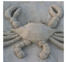 a crab made out of sand on the beach