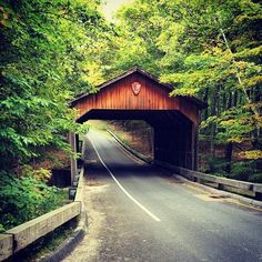 a wooden covered bridge in the middle of a forest