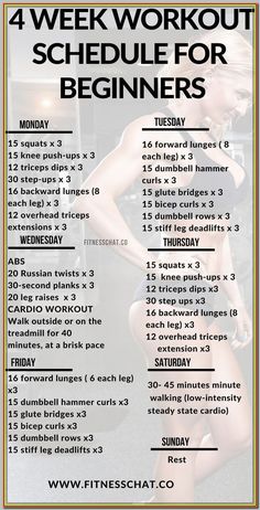 (ad) The 15 Best Abs Exercises To Add To Your Back Workouts Workout Schedule For Beginners, Beginner Workout Schedule, 4 Week Workout, Week Workout, Full Body Workout Routine, Workout Routines For Beginners, Workout Plan For Beginners, Daily Workouts