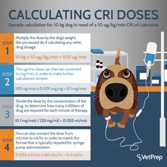 a poster explaining how to use the calculator for cribs and dogs