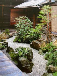 a japanese garden with rocks and trees