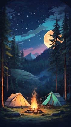 a campfire and two tents in the woods at night