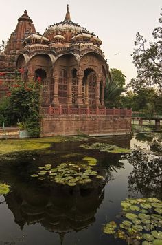 an ornate building with water lilies in the foreground and greenery around it