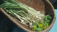 a basket filled with onions and greens on top of a blue table next to other vegetables