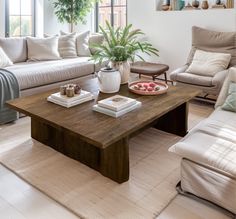 a living room filled with furniture and a plant