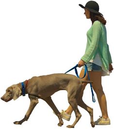 a woman walking a dog on a leash with a hat and green sweater over her shoulders