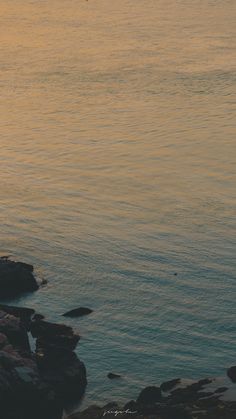 a person standing on the shore with a surfboard in their hand and looking out at the water