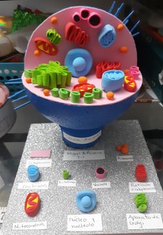 a blue and pink object on display in a room filled with other items that include plastic objects