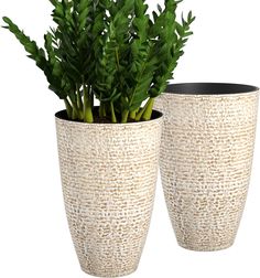 two planters with plants in them sitting next to each other